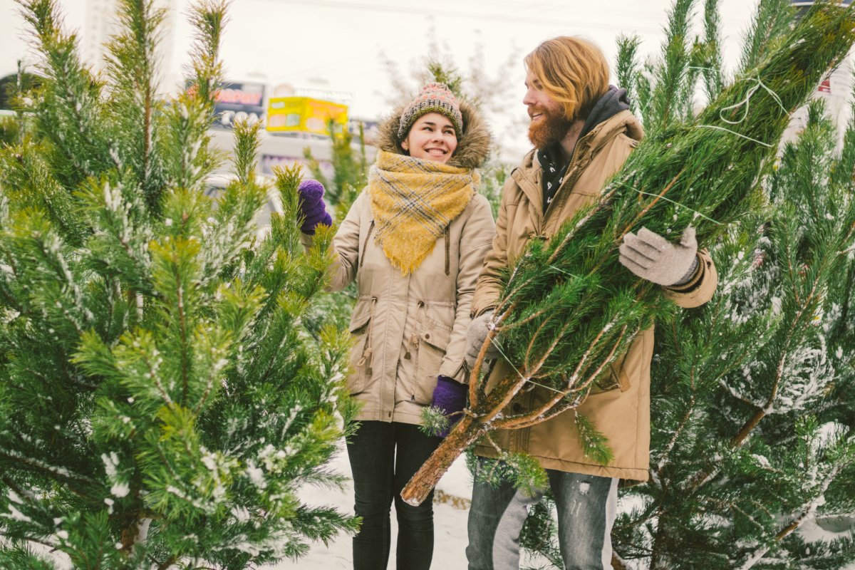 Couple buying Christmas tree.