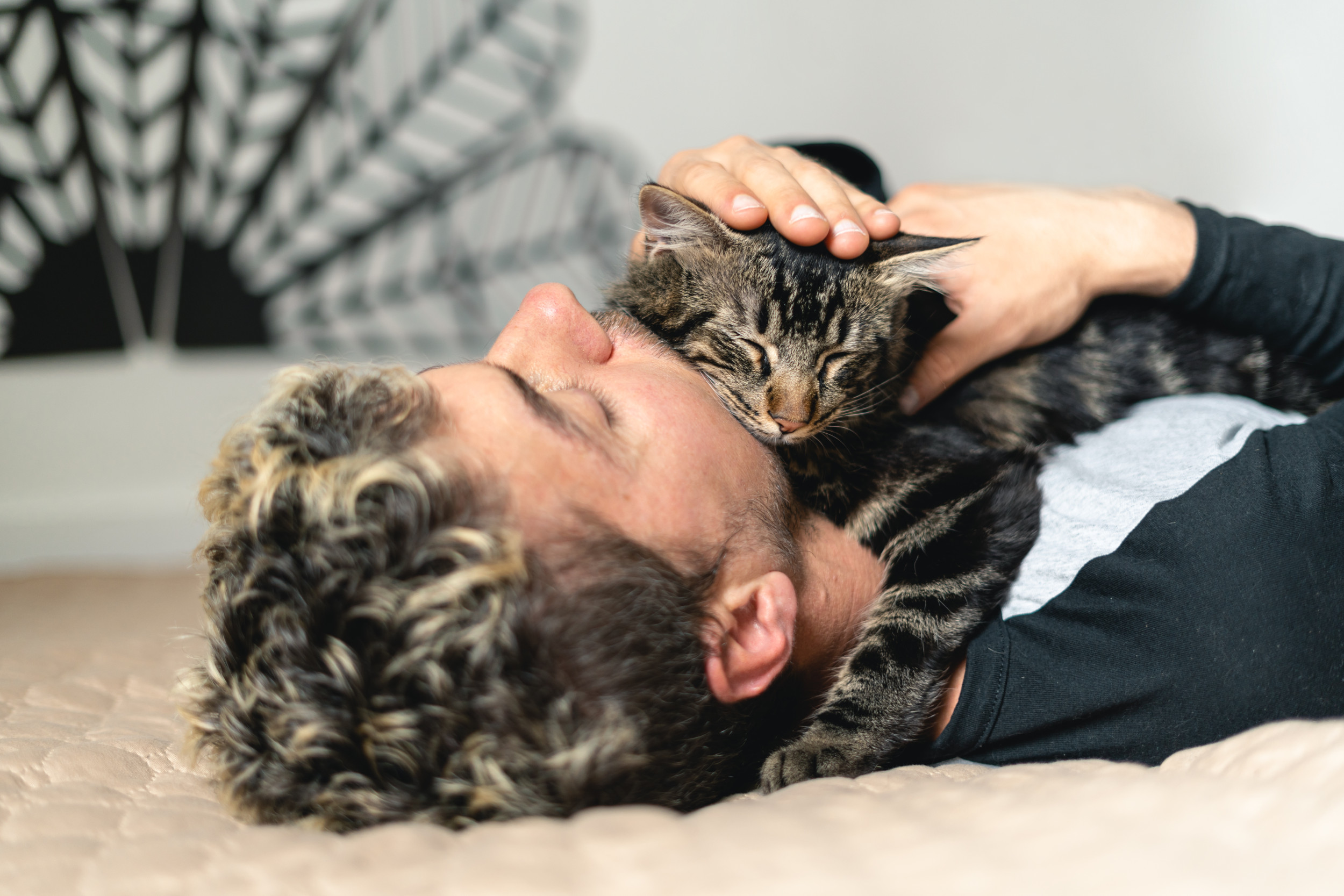 Cat Desperately Trying To Kiss Dad Delights Internet: 'He's All Yours'