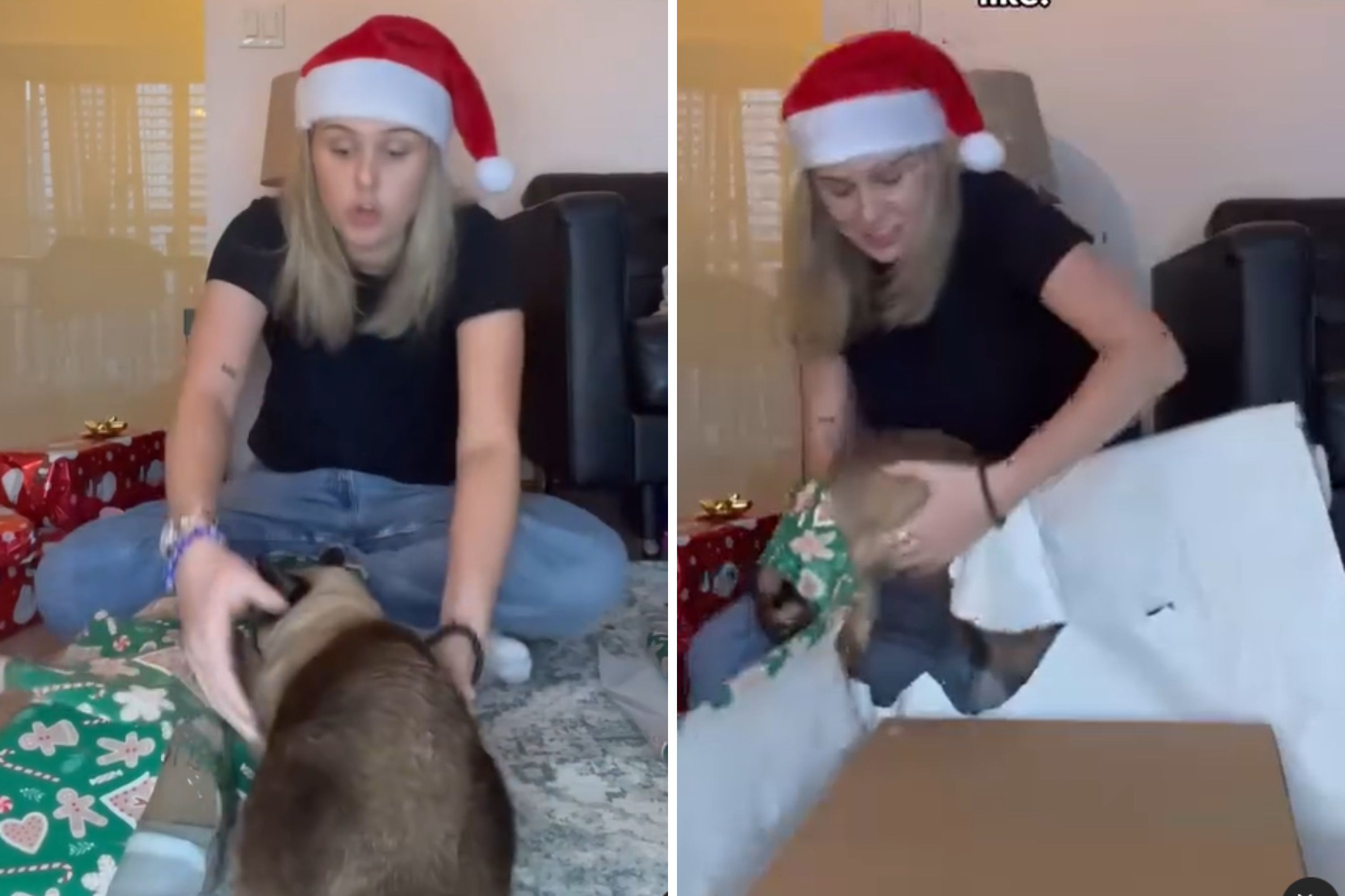 Woman Shows Reality of Wrapping Christmas Presents When You Have a Cat