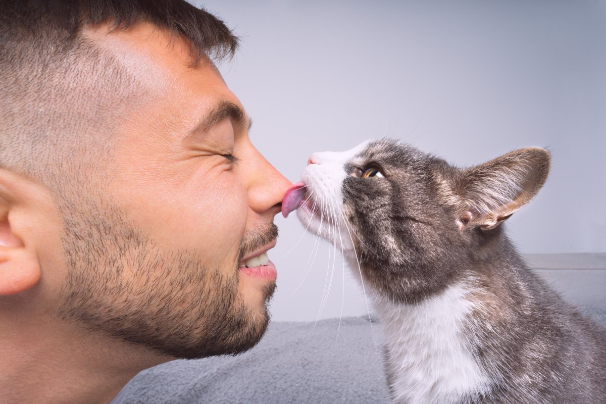 cat licking man