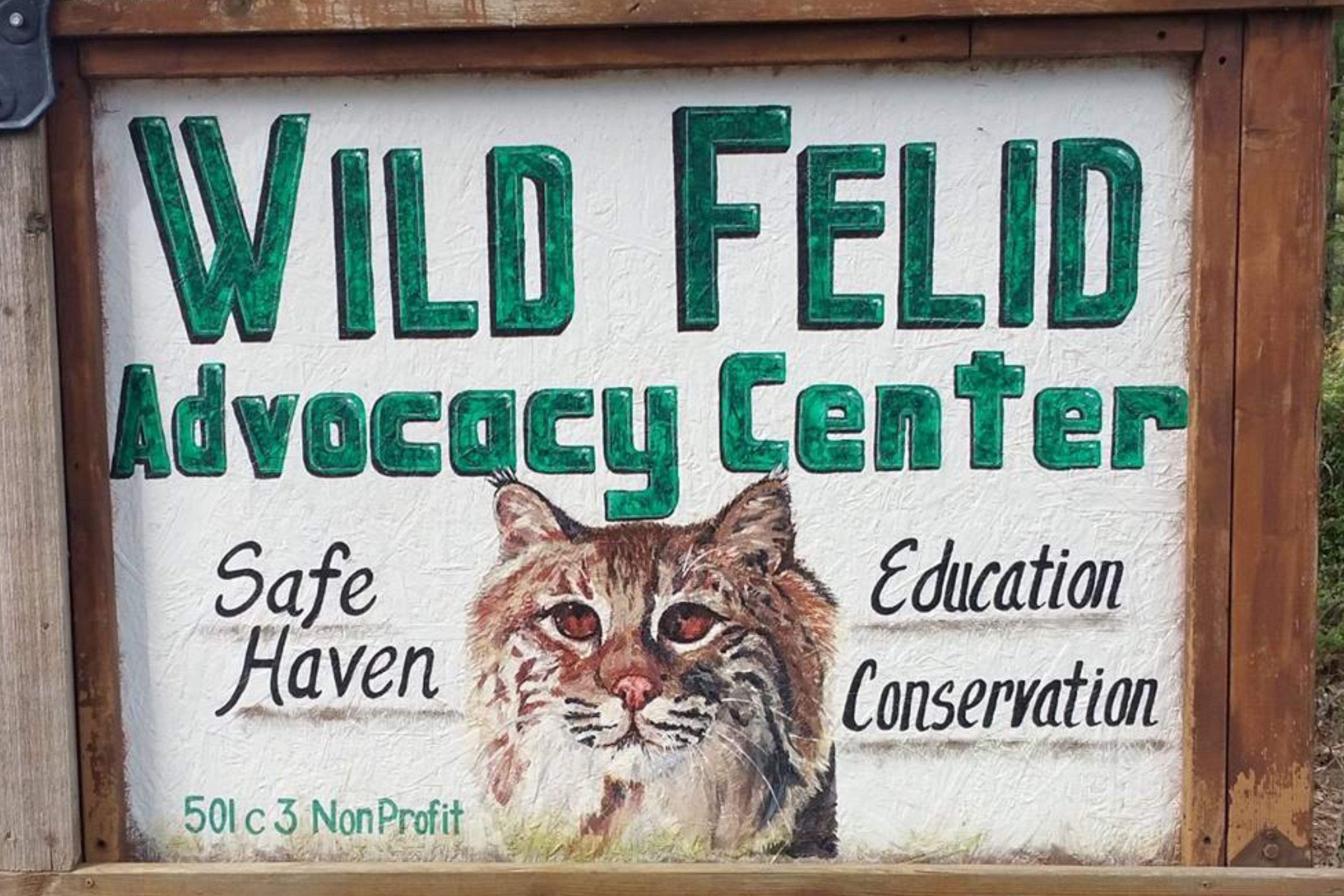 Deadly Bird Flu Devastates Big Cat Sanctuary