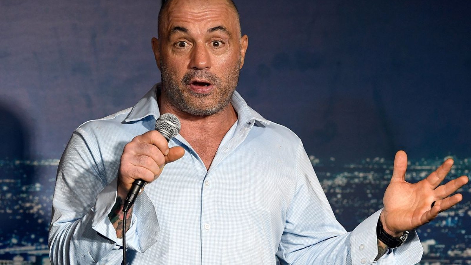 Joe Rogan Muacles Joe Rogan Muscles