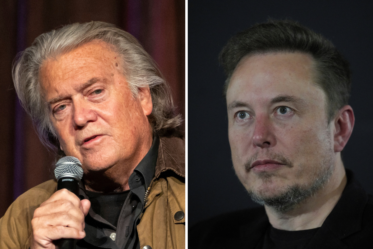 Bannon and Musk