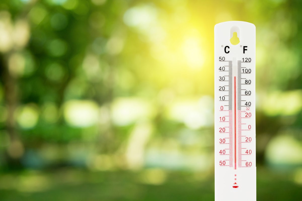 Above average temperatures winter