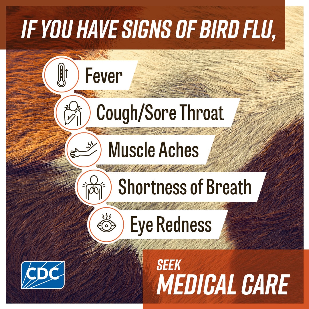 Signs of bird flu