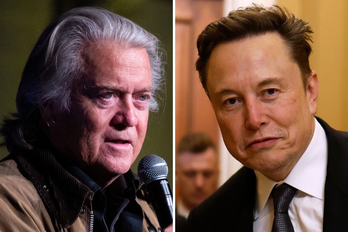 Steve Bannon and Elon Musk