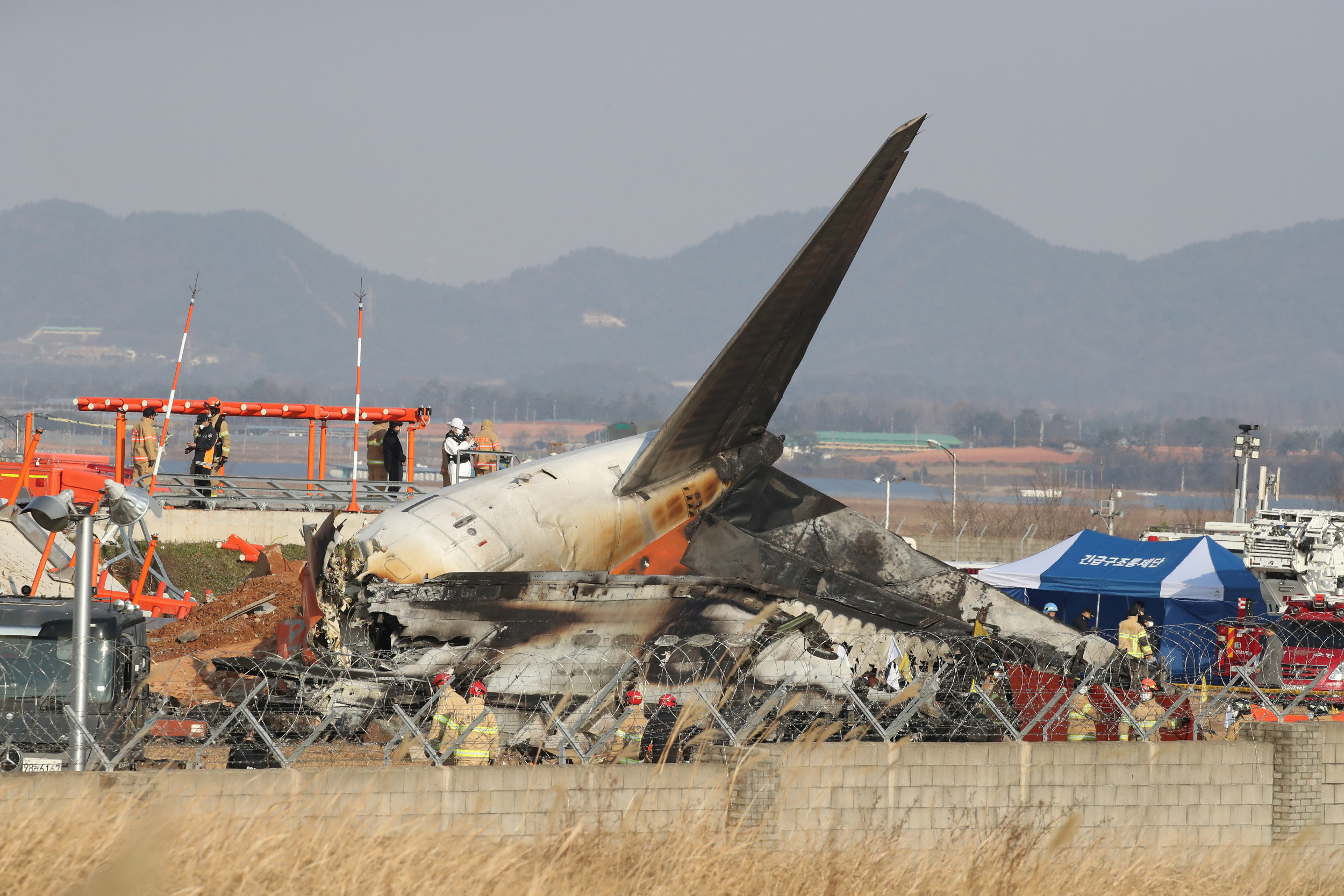 South Korea plane crashed minutes after bird-strike warning