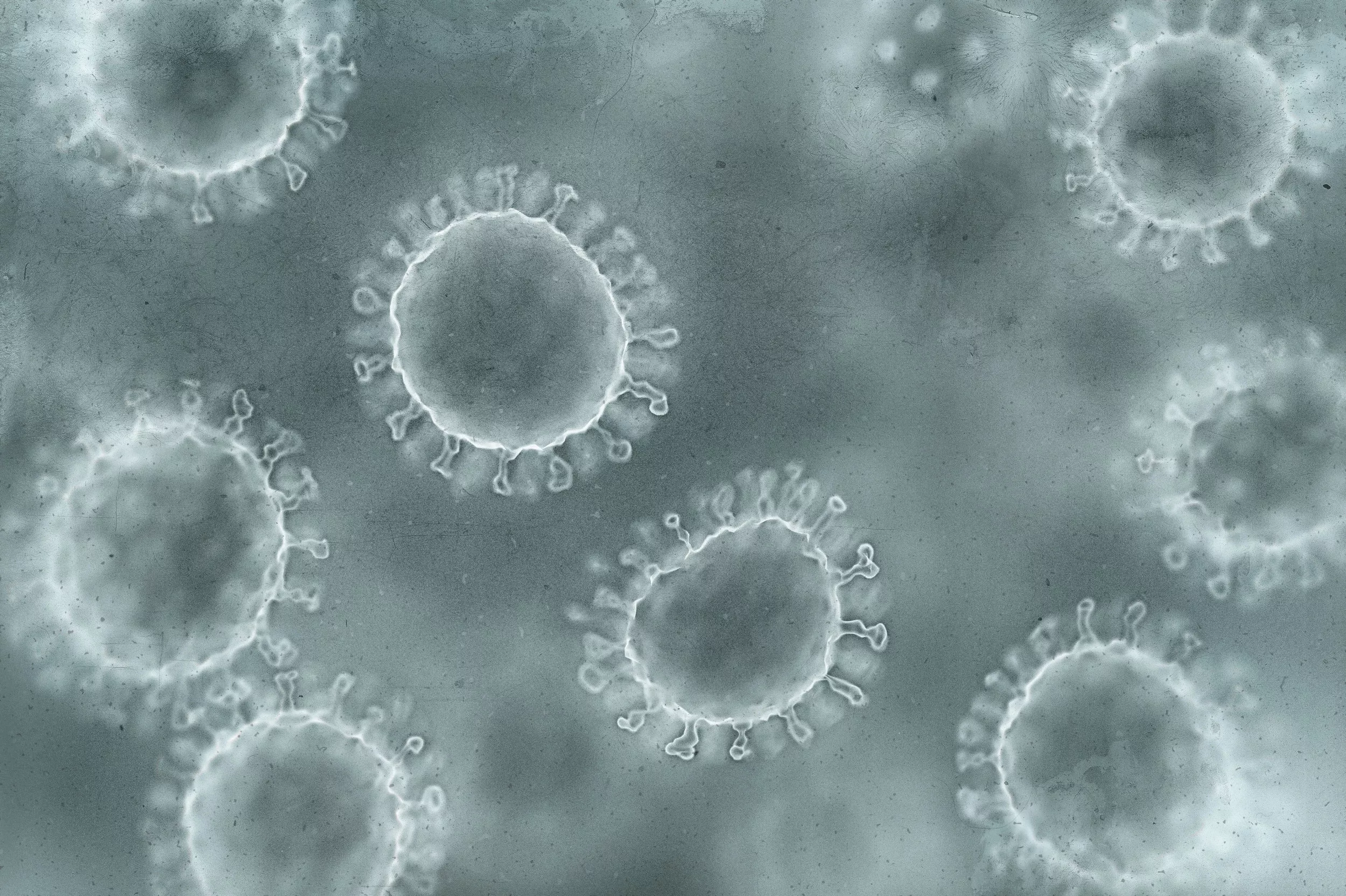 Surge in Norovirus Cases Highlights Seasonal Health Concern in the U.S.