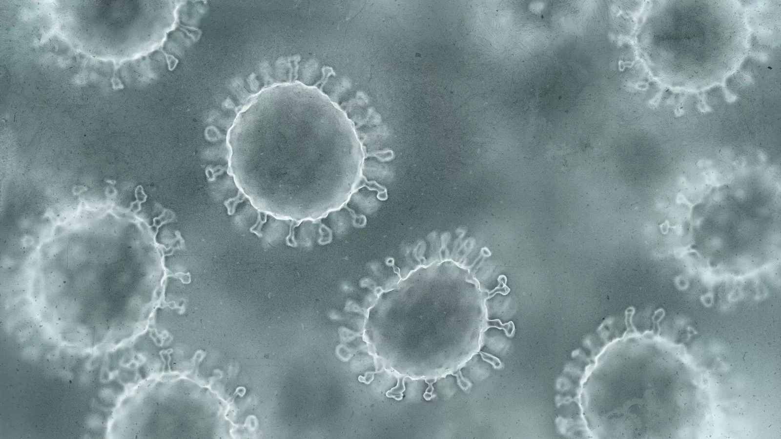 Surge in Norovirus Cases Highlights Seasonal Health Concern in the U.S. Surge in Norovirus Cases Highlights Seasonal Health Concern in the U.S.