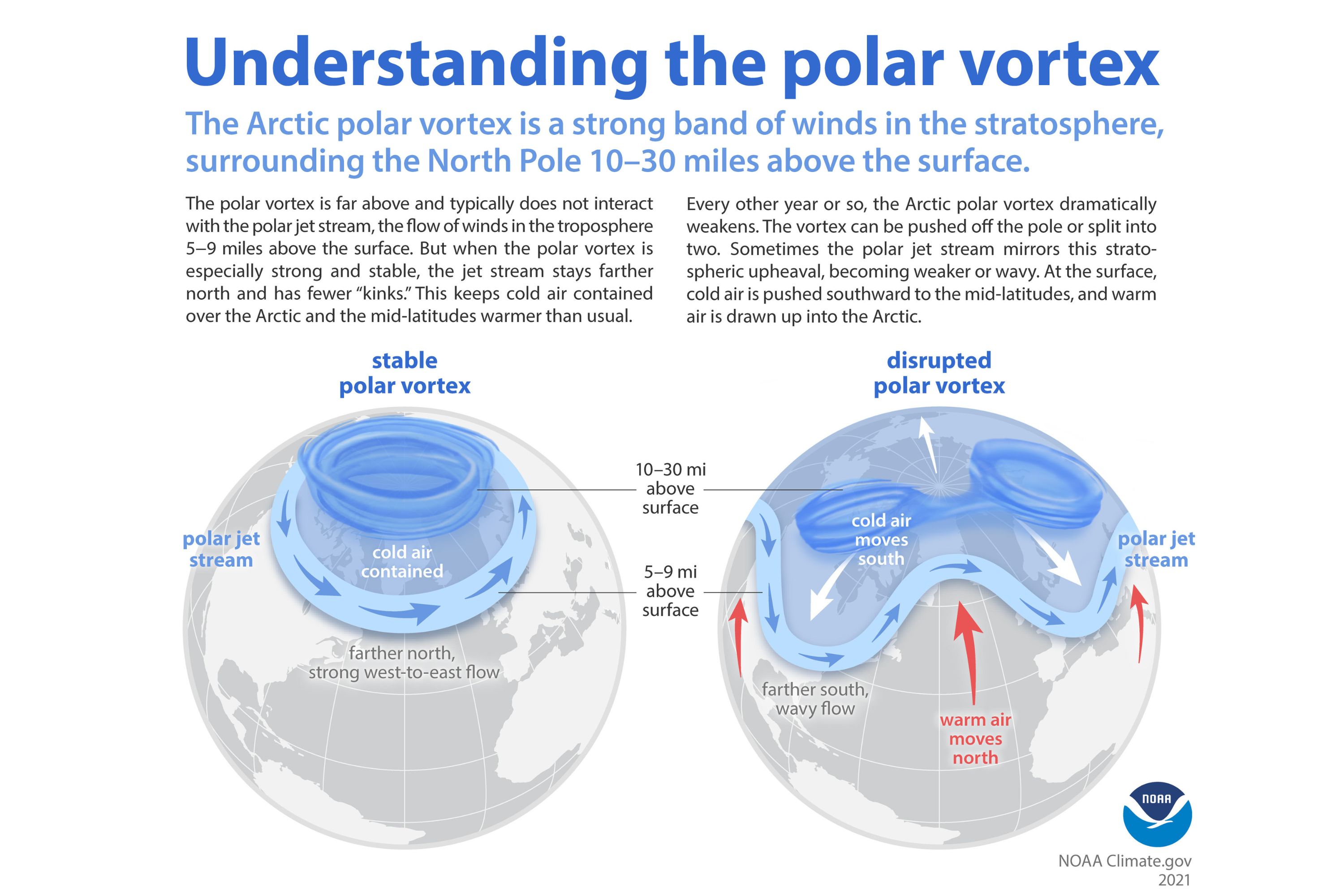 How Polar Vortex Will Affect US in 2025 Newsweek