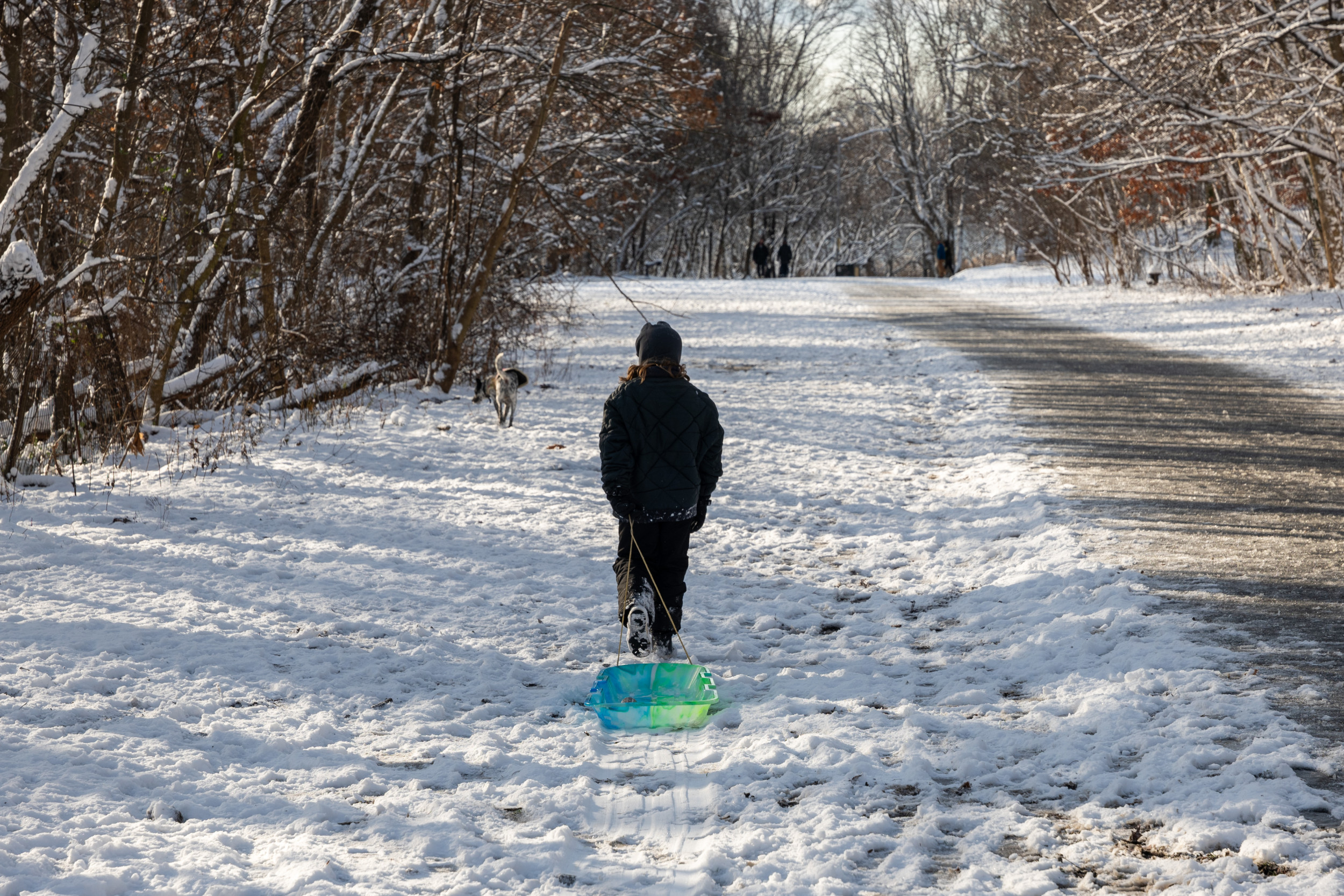 Winter Weather Warnings in 5 States As 14 Inches of Snow To Hit - Newsweek