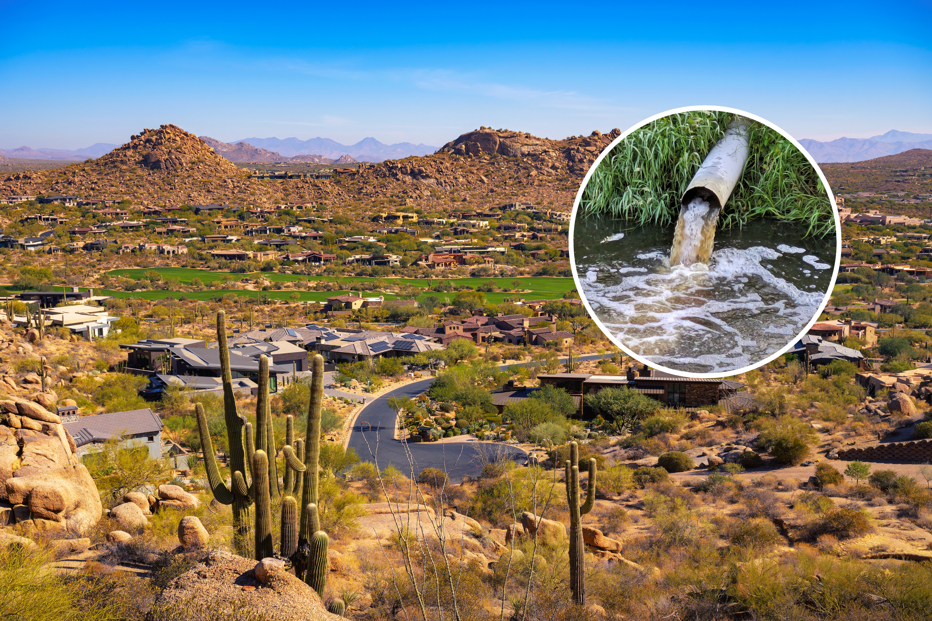 Bird Flu Detected in Wastewater of Three Arizona Cities