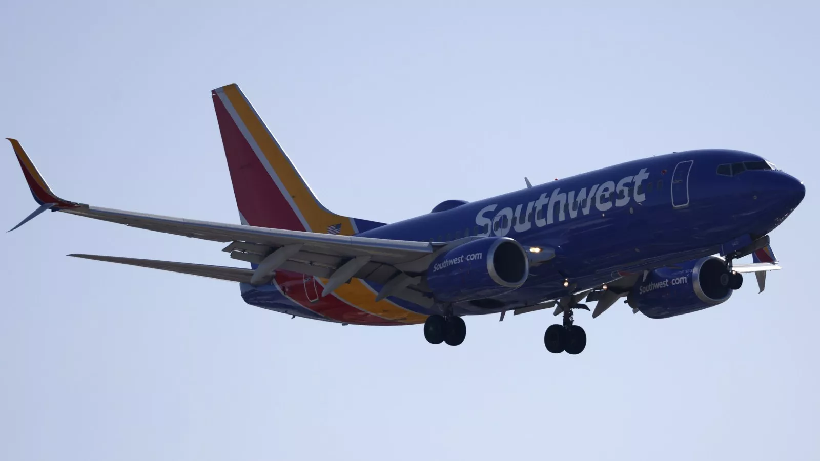 Woman kicked off Southwest Airlines flight over pet cat's "smell"