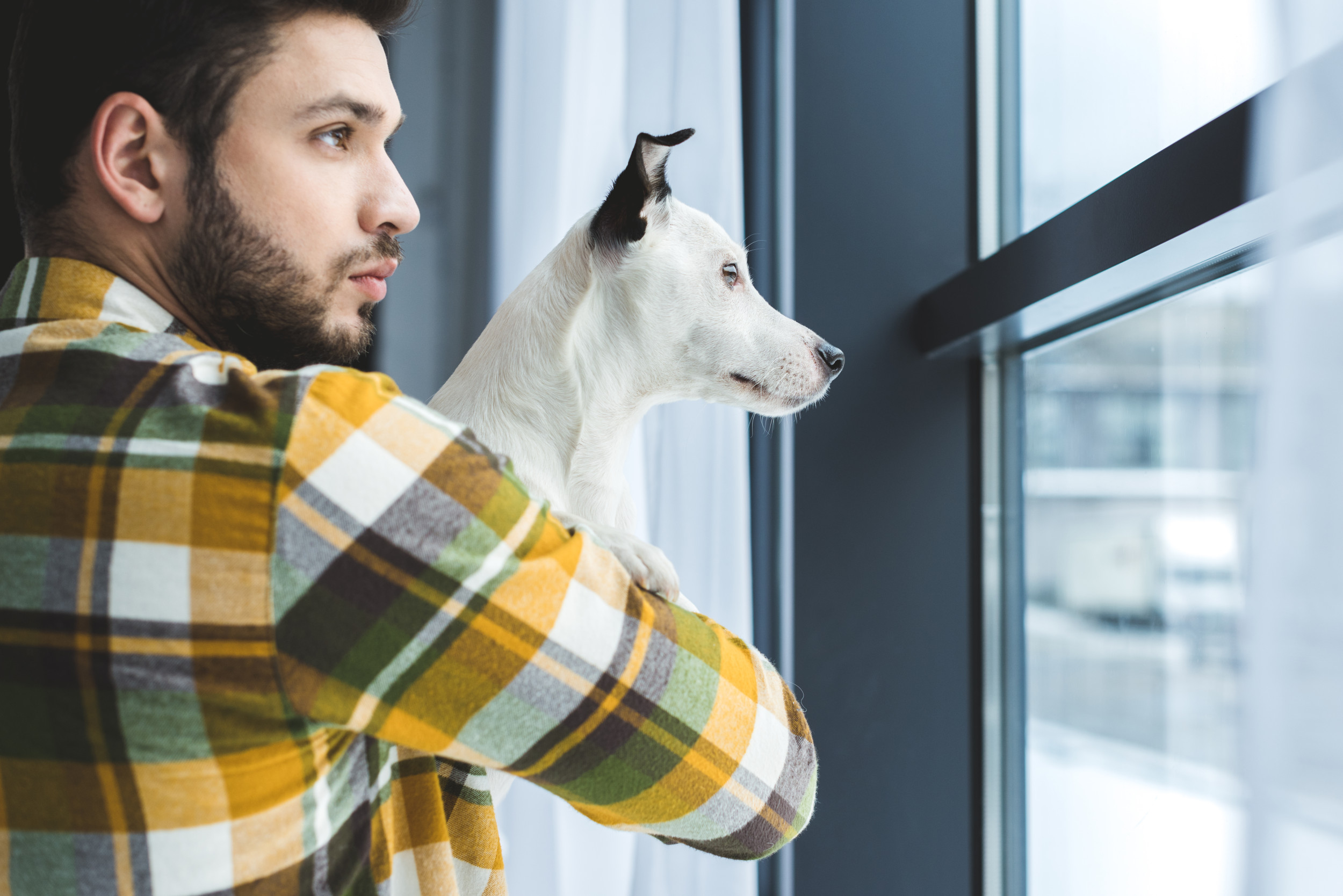 Hilarious Moment Woman Realizes Husband and Dog Are As Nosy As Each Other
