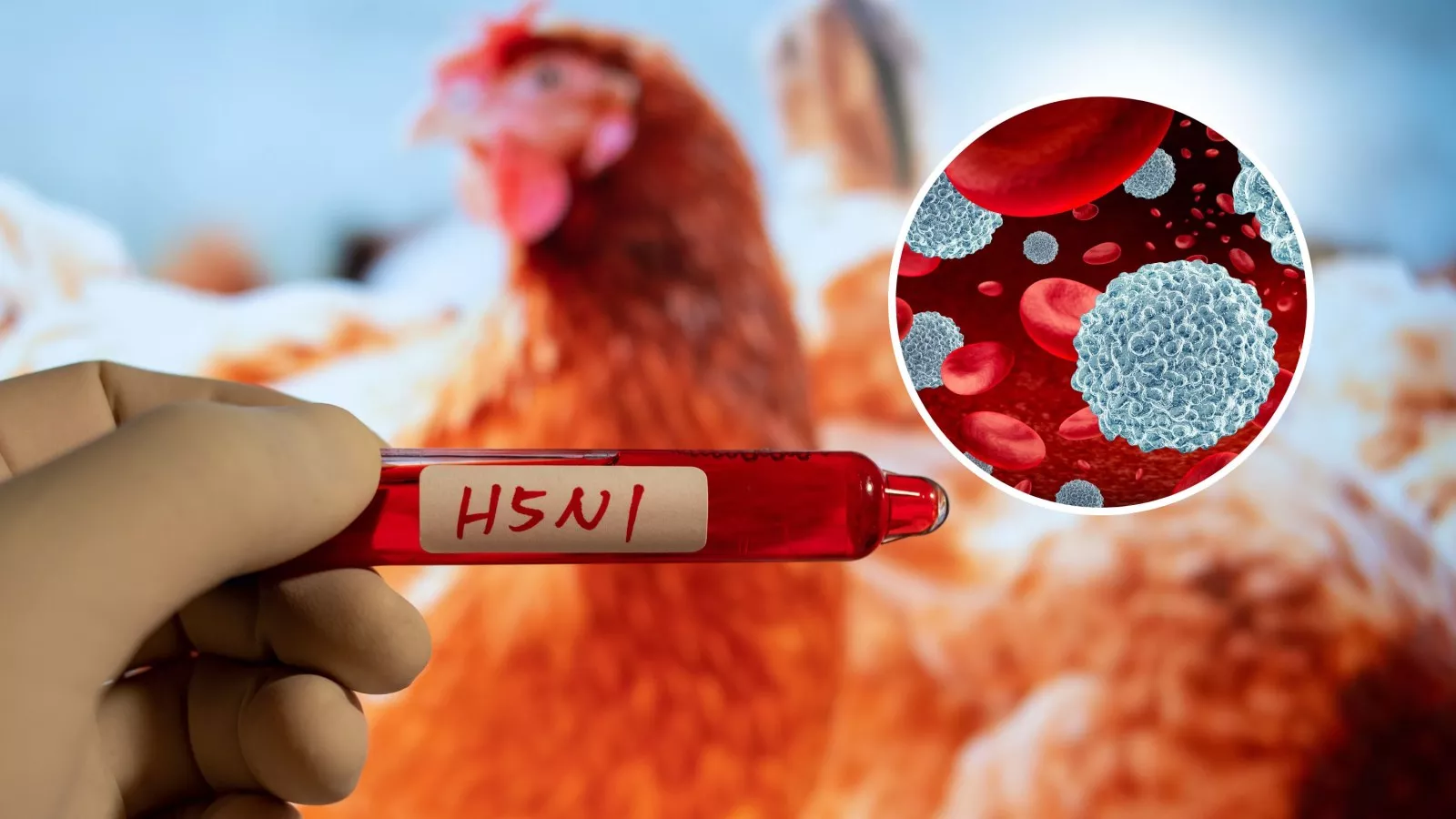 Bird flu update: How regular influenza may help protect you