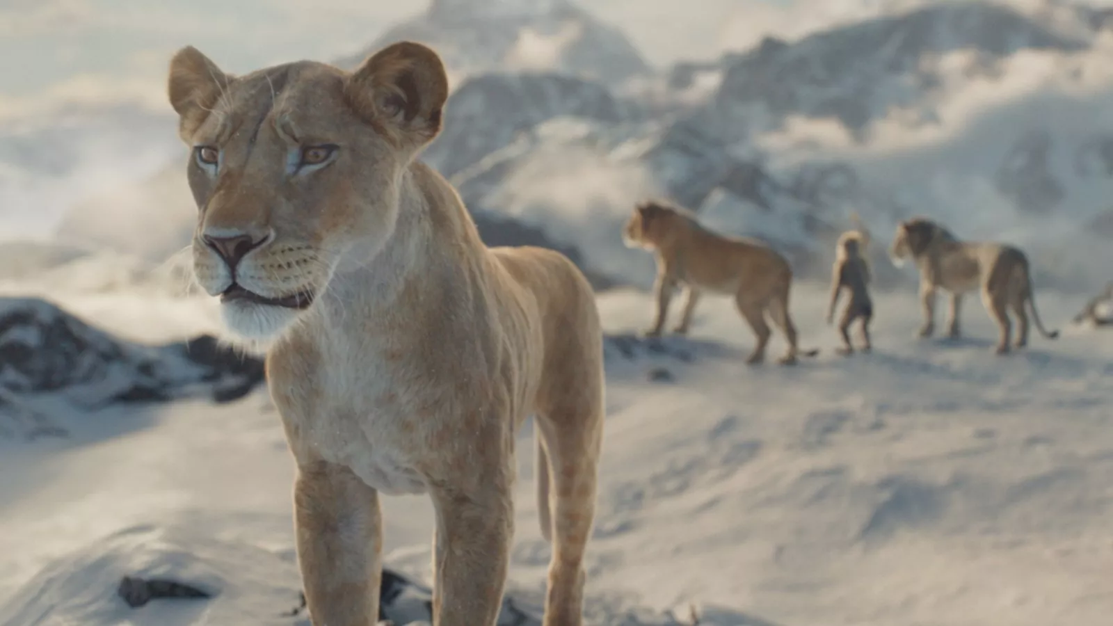 How 'Mufasa' compares to other 'Lion King' movies at box office