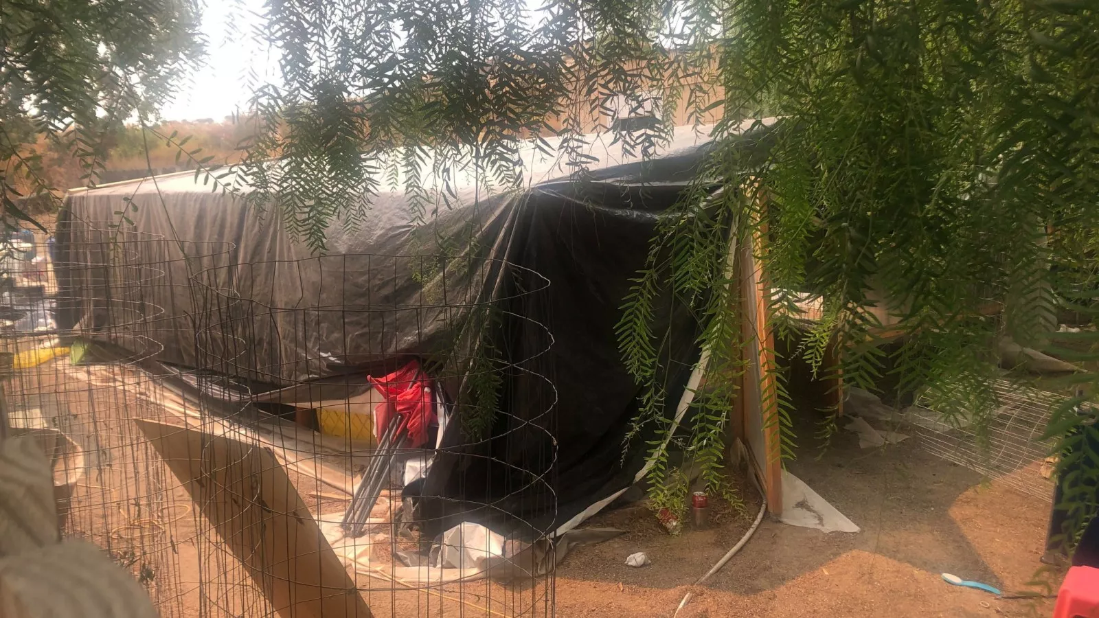 Suspected gang connection emerges in California marijuana grow massacre