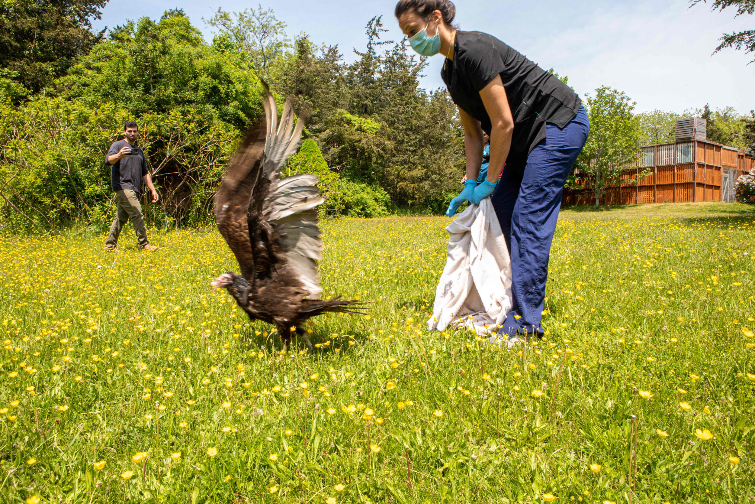 Could Bird Flu Epidemic Spark More Stimulus Checks in 2025? Newsweek