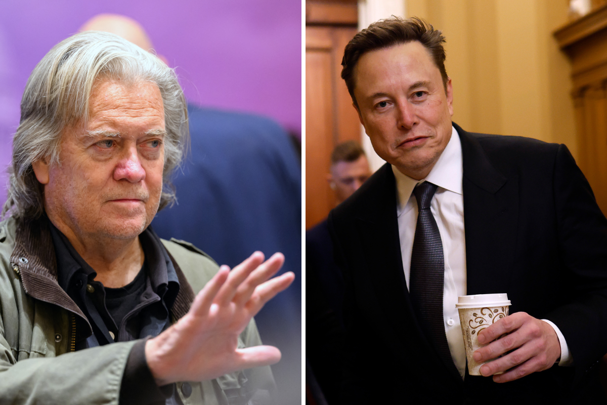 Steve Bannon and Elon Musk