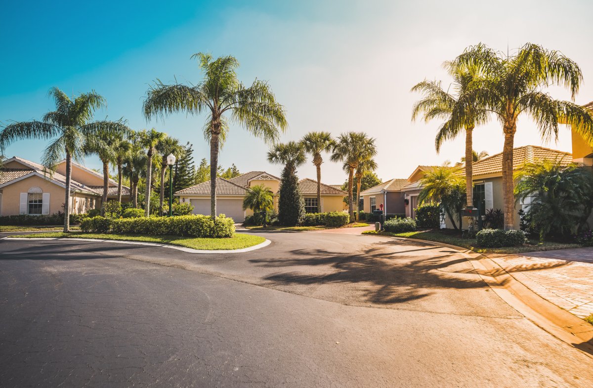 Florida Homes and Palm Trees