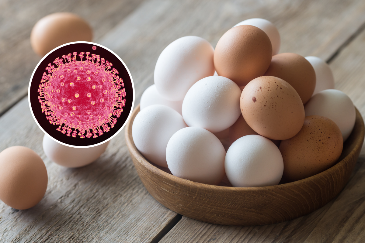 Eggs and virus