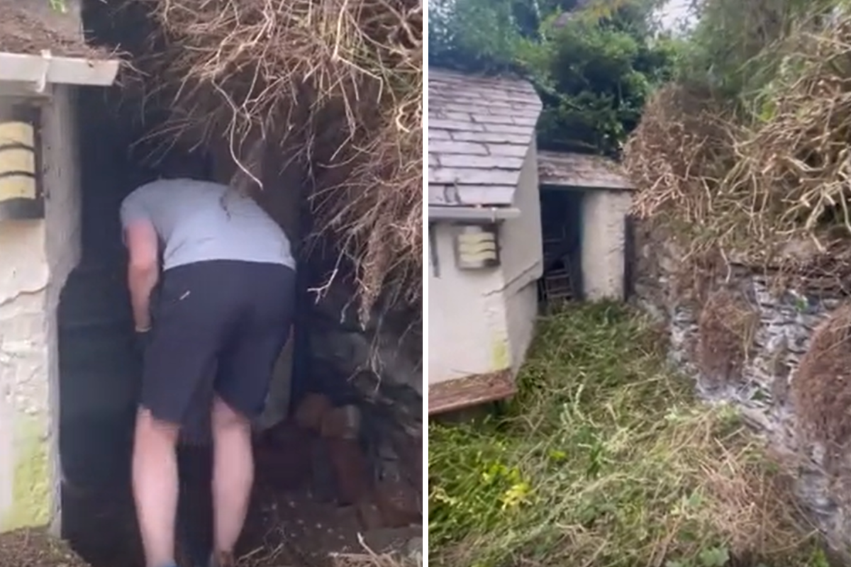 Una pareja encuentra una casa escondida. 