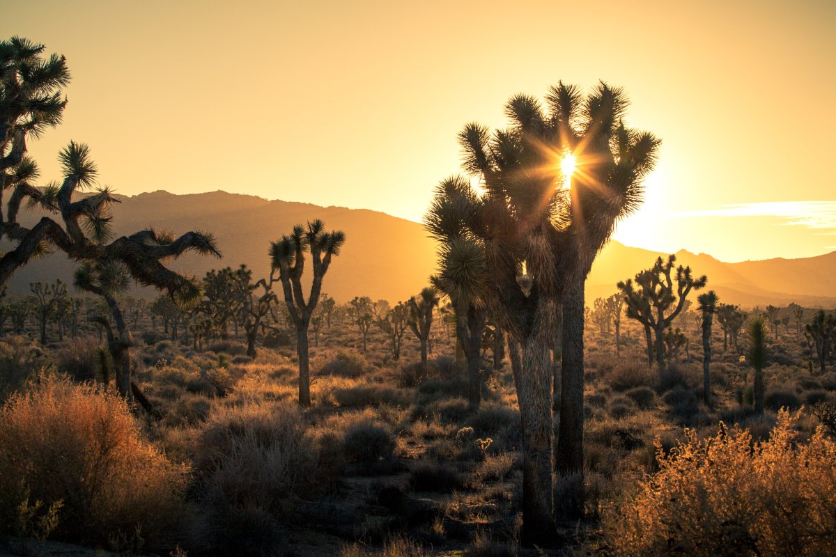 President Biden California Native American Land Protection