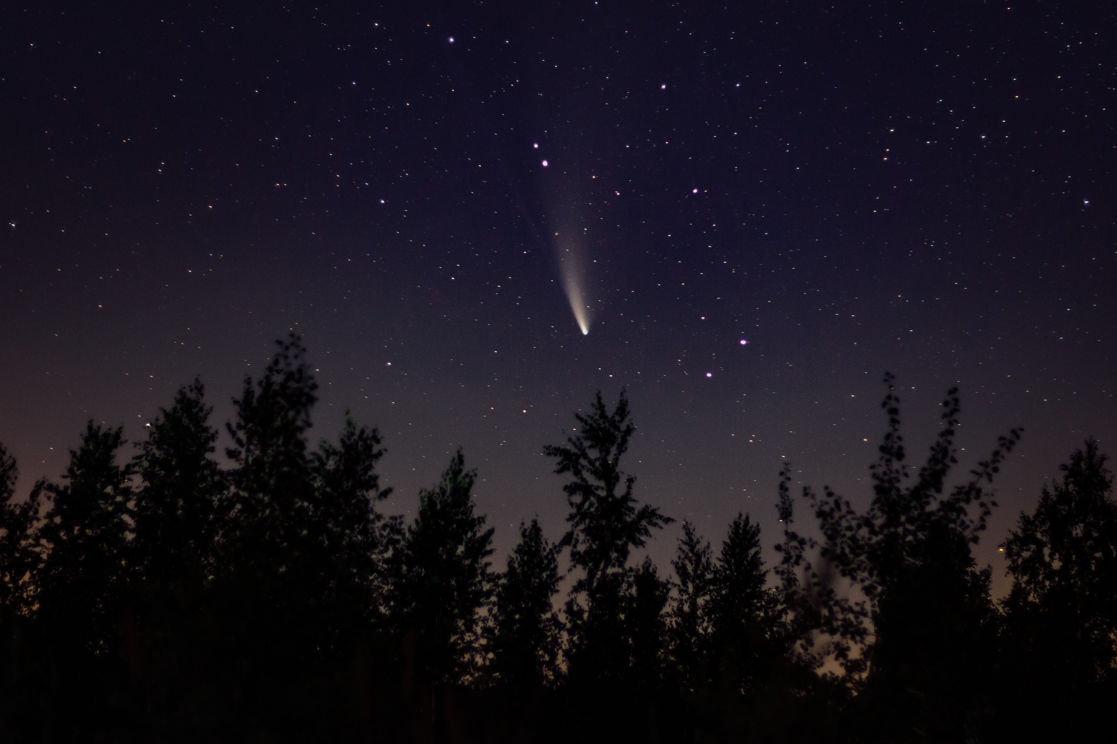 Comet ATLAS C/2024 G3 Approaches Sun in January