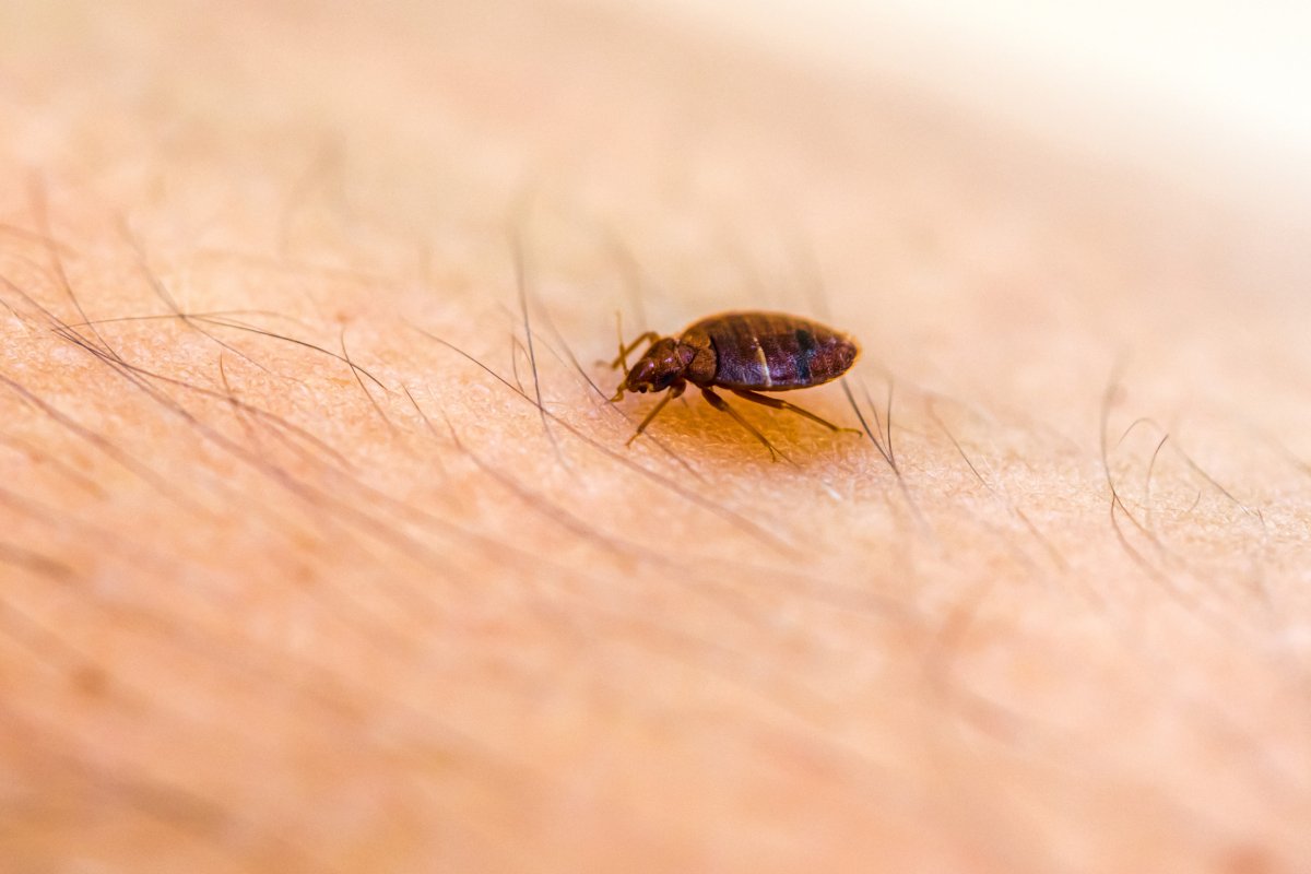 Omaha Housing Authority Lawsuit Bed Bugs