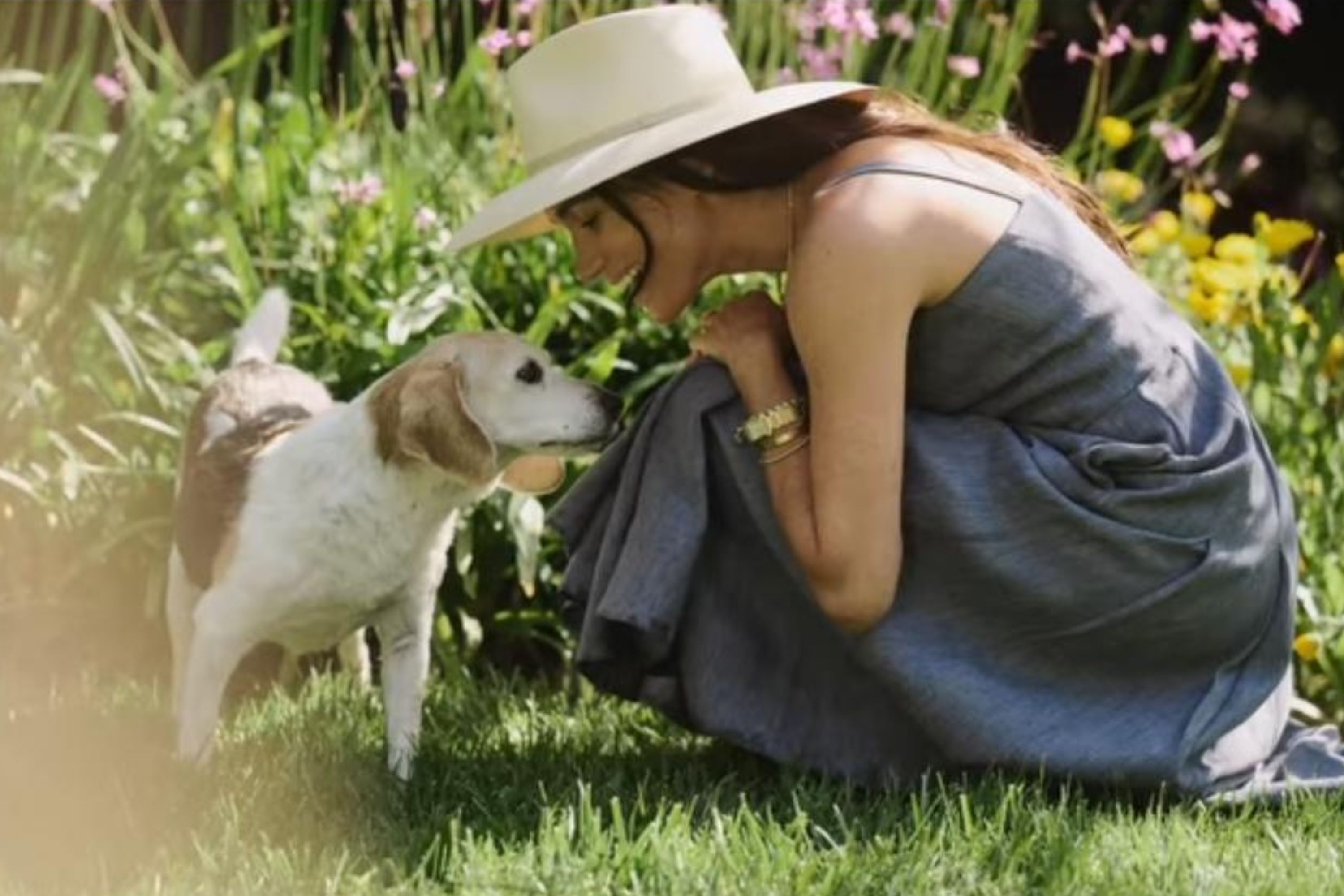 Meghan Markle cries "too many tears" after dog Guy dies