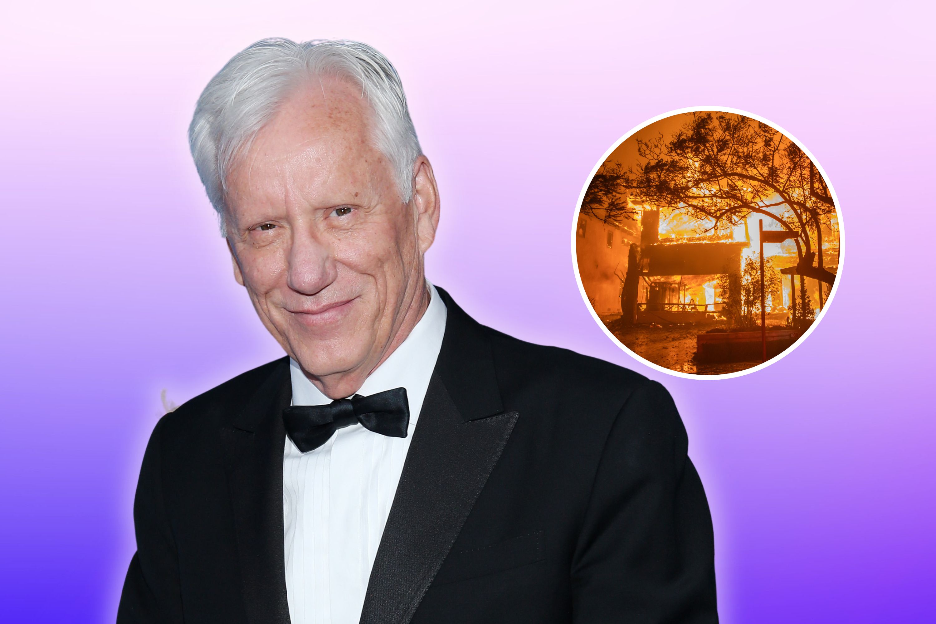 James Woods' house burning sparks online celebrations