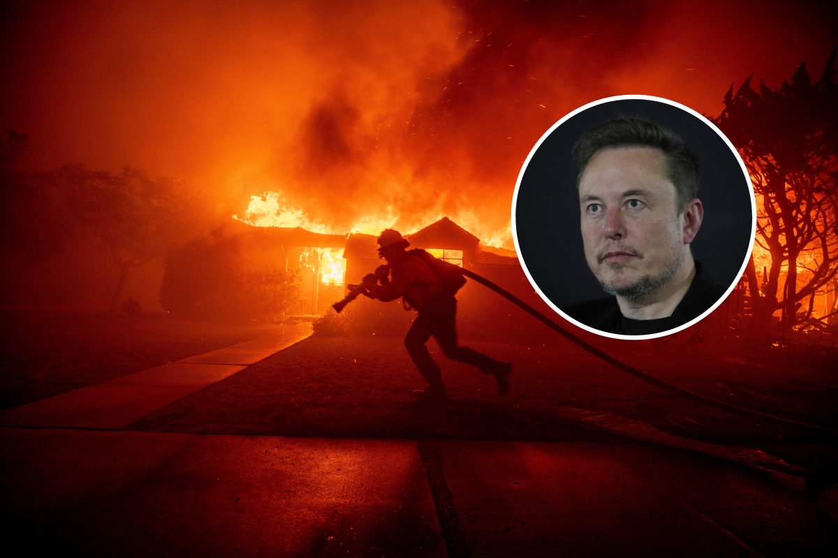 Elon Musk Reacts to Palisades, Eaton and Hurst Fires - Newsweek