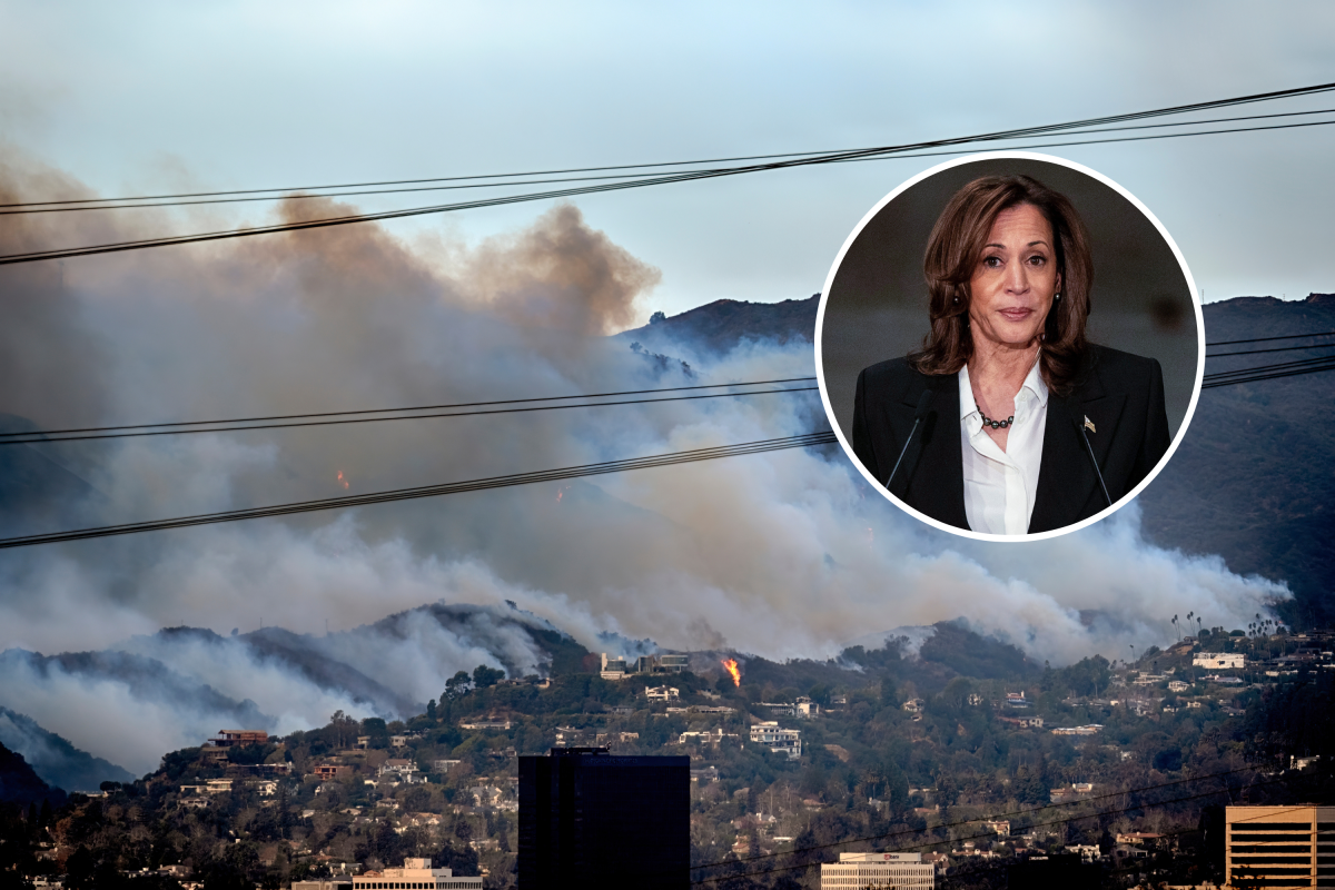 Map Shows Kamala Harris' California Home Surrounded by Wildfires - Newsweek