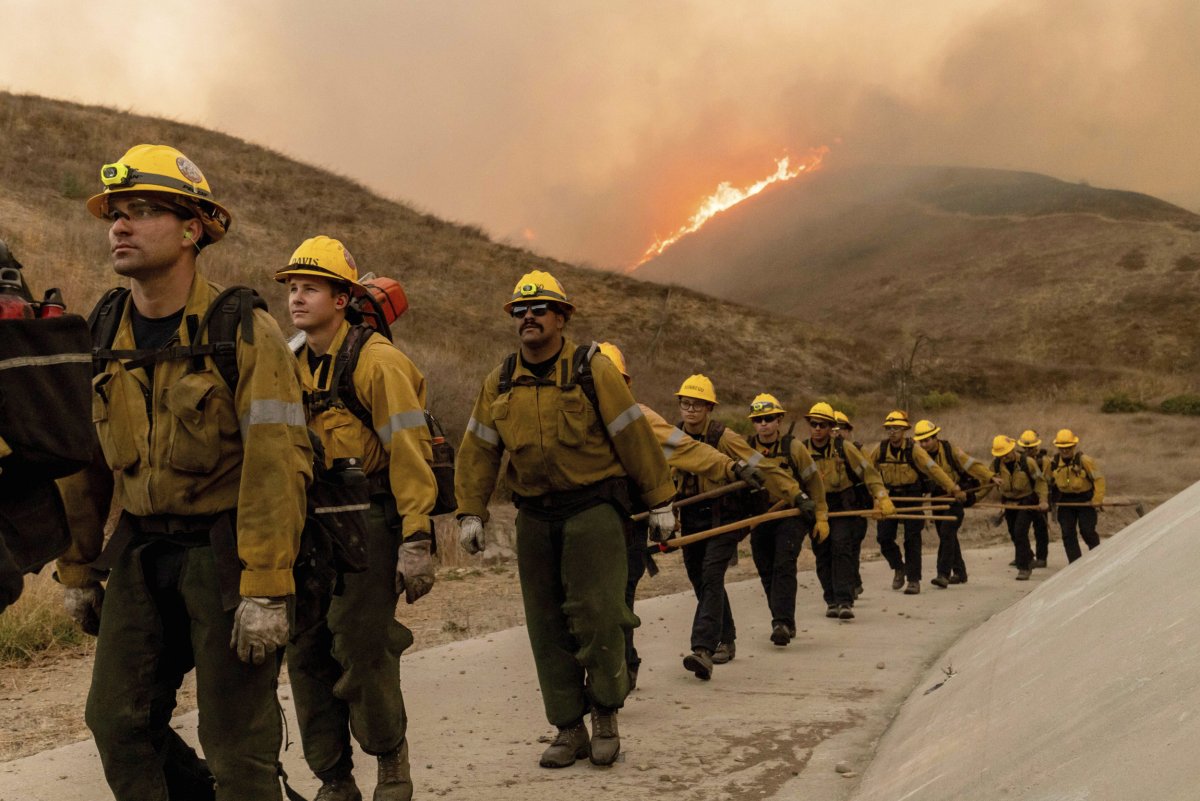 LB de incendios forestales