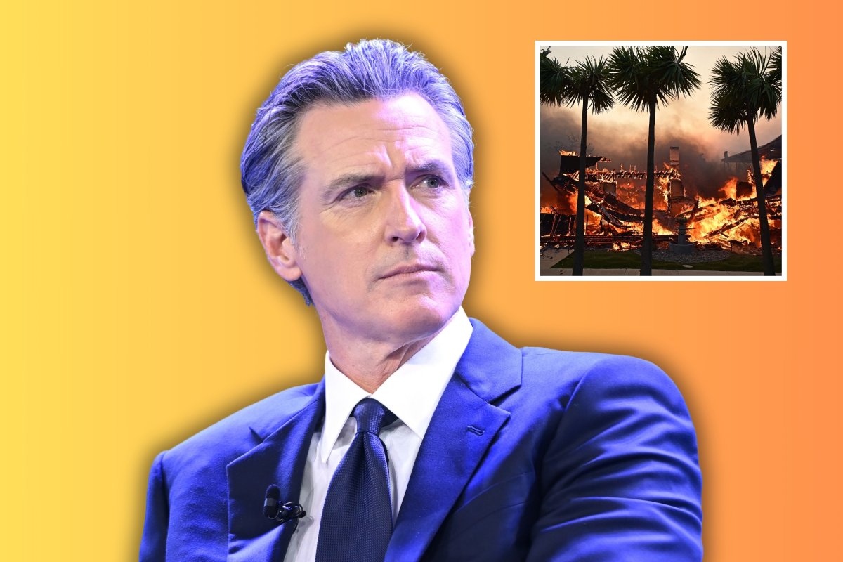 Gavin Newsom