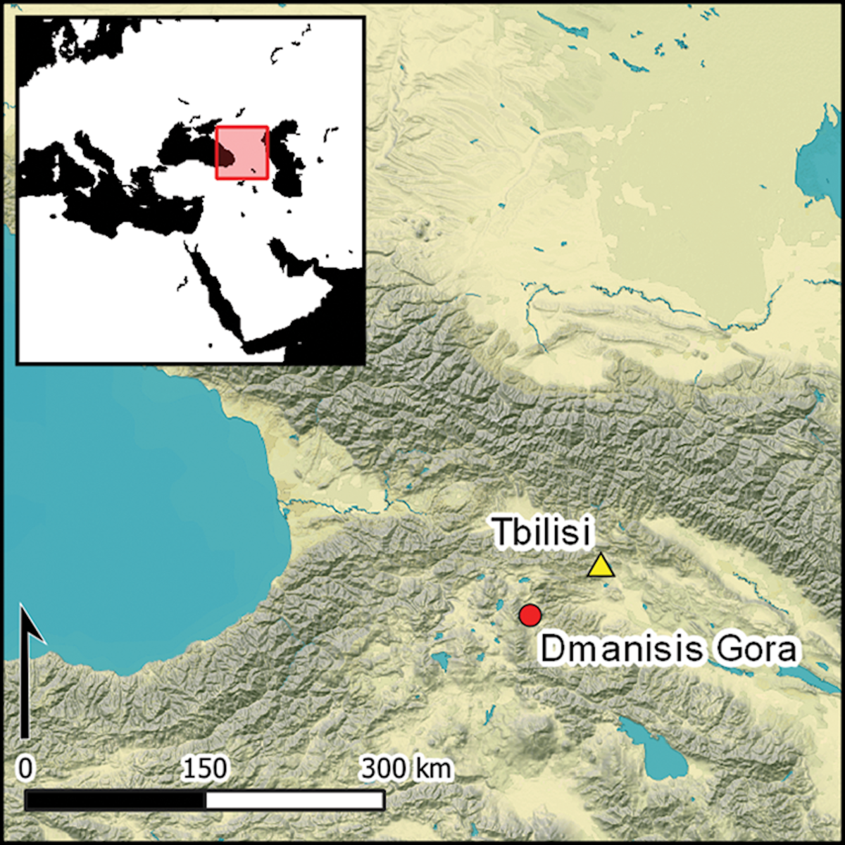 A map of the Dmanisis Gora site