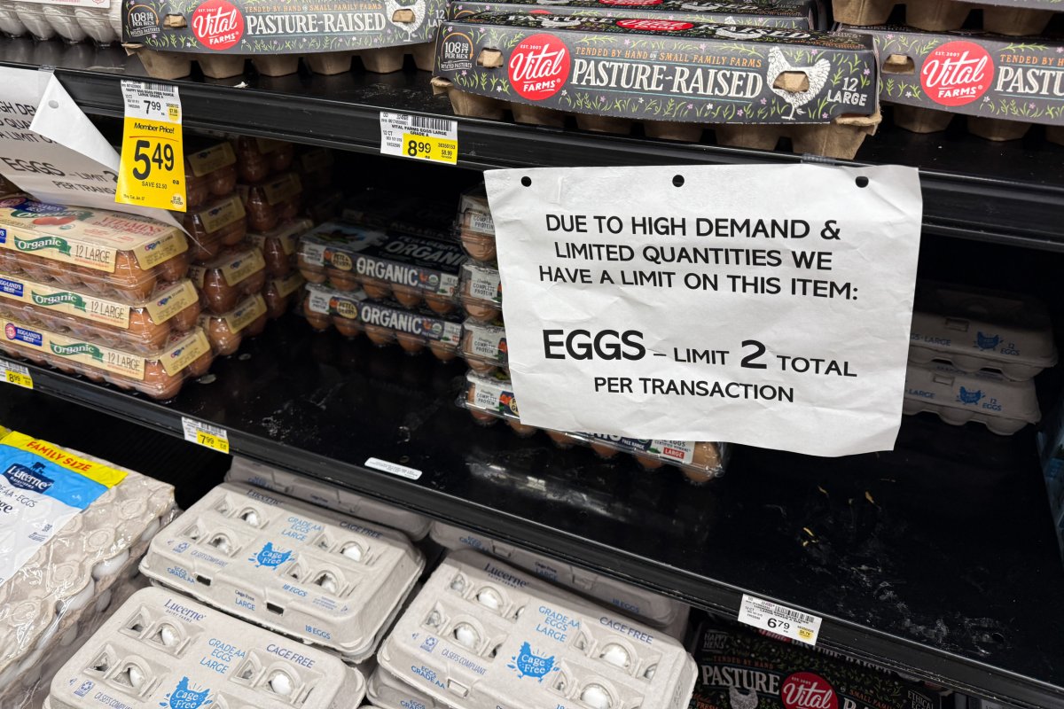 Egg shortage
