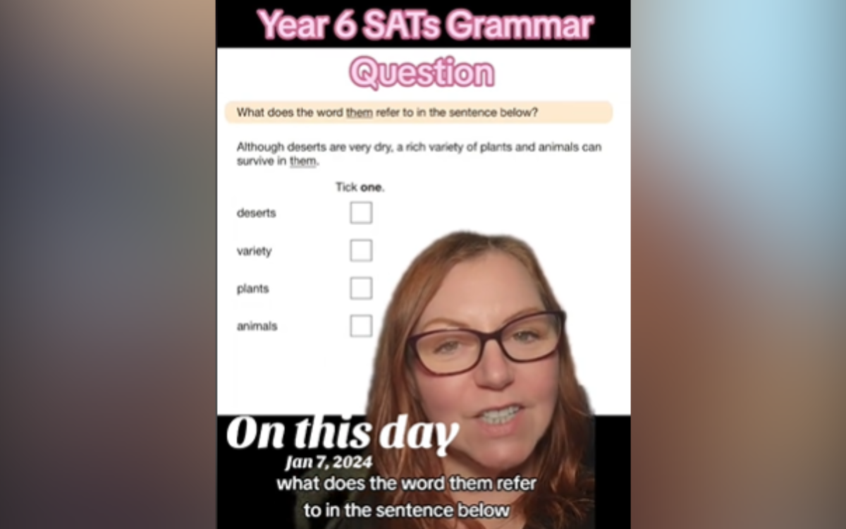 Grammar Test Question Aimed At 11-Year-Olds Confuses Internet