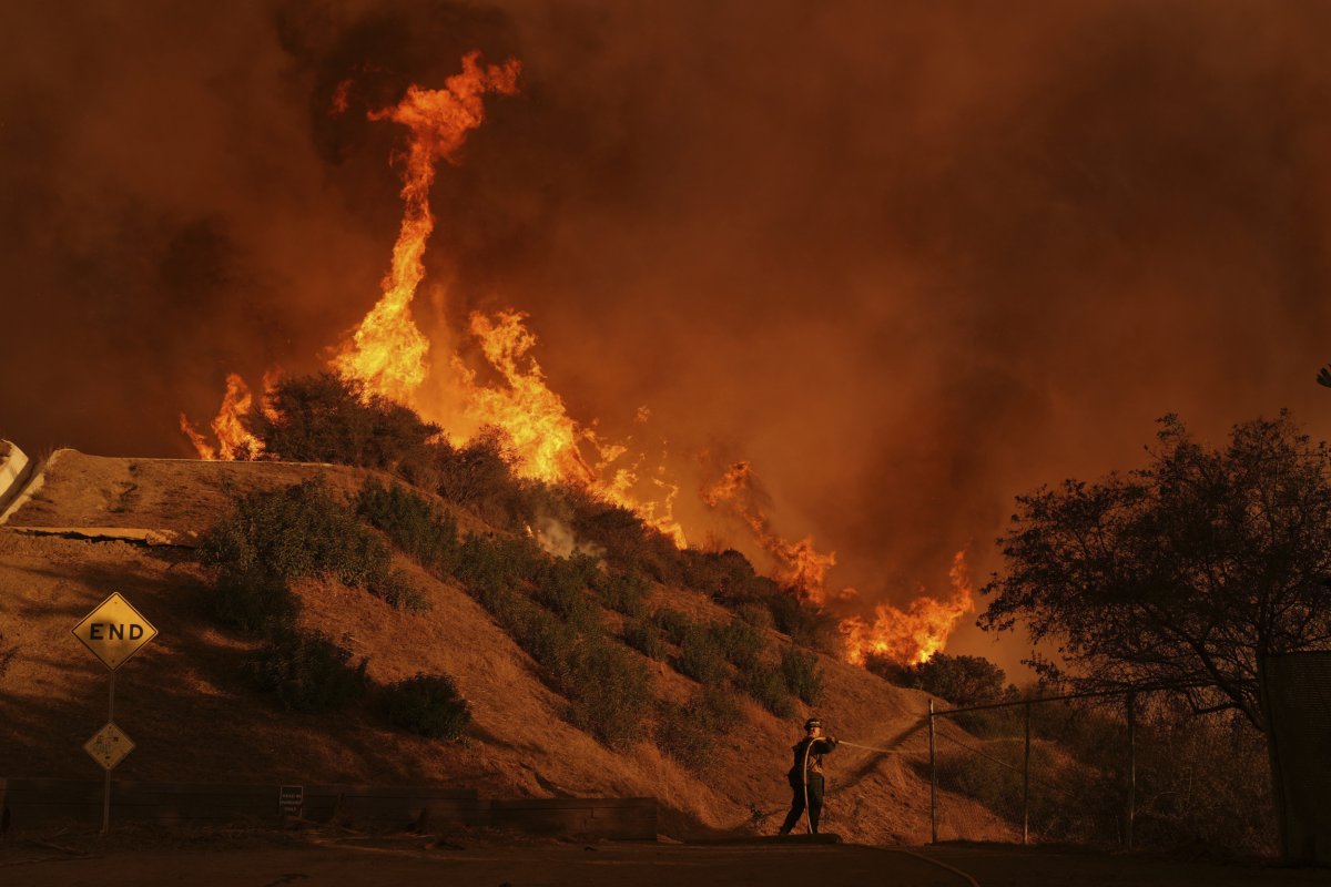 LA Fires