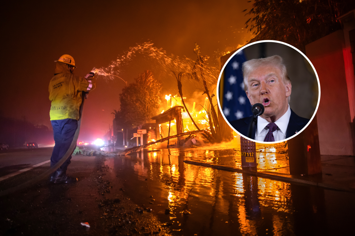 Trump/wildfire