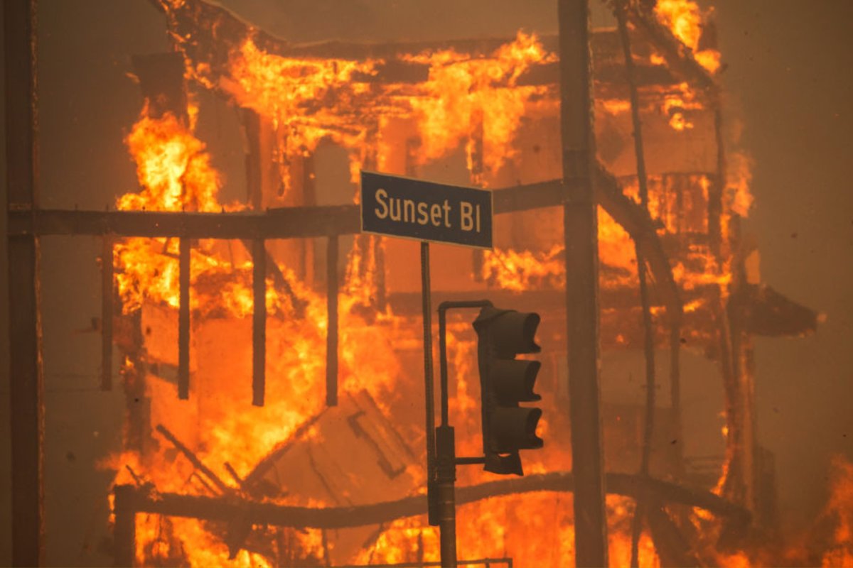 The Palisades Fire