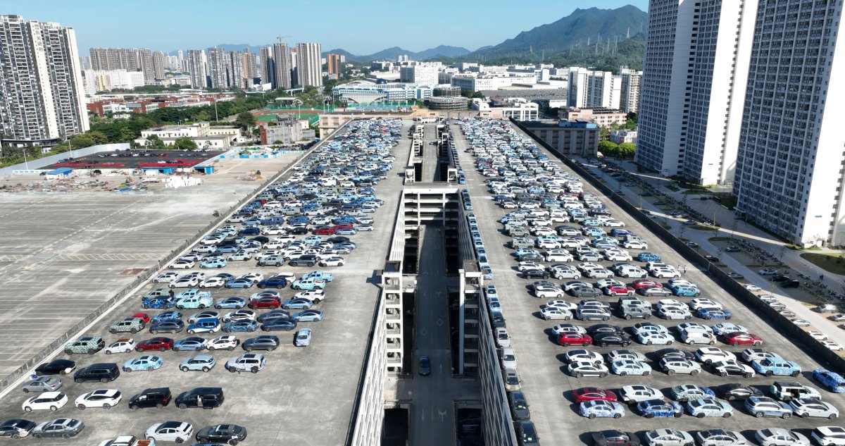 China EV Market Grows