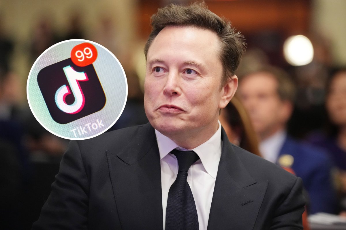 TikTok Musk