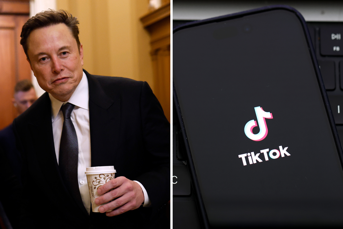 Musk/TikTok