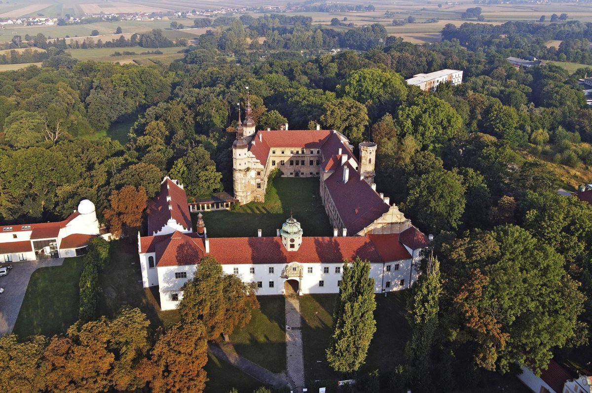 Polish Town Proposes Elon Musk Castle Purchase