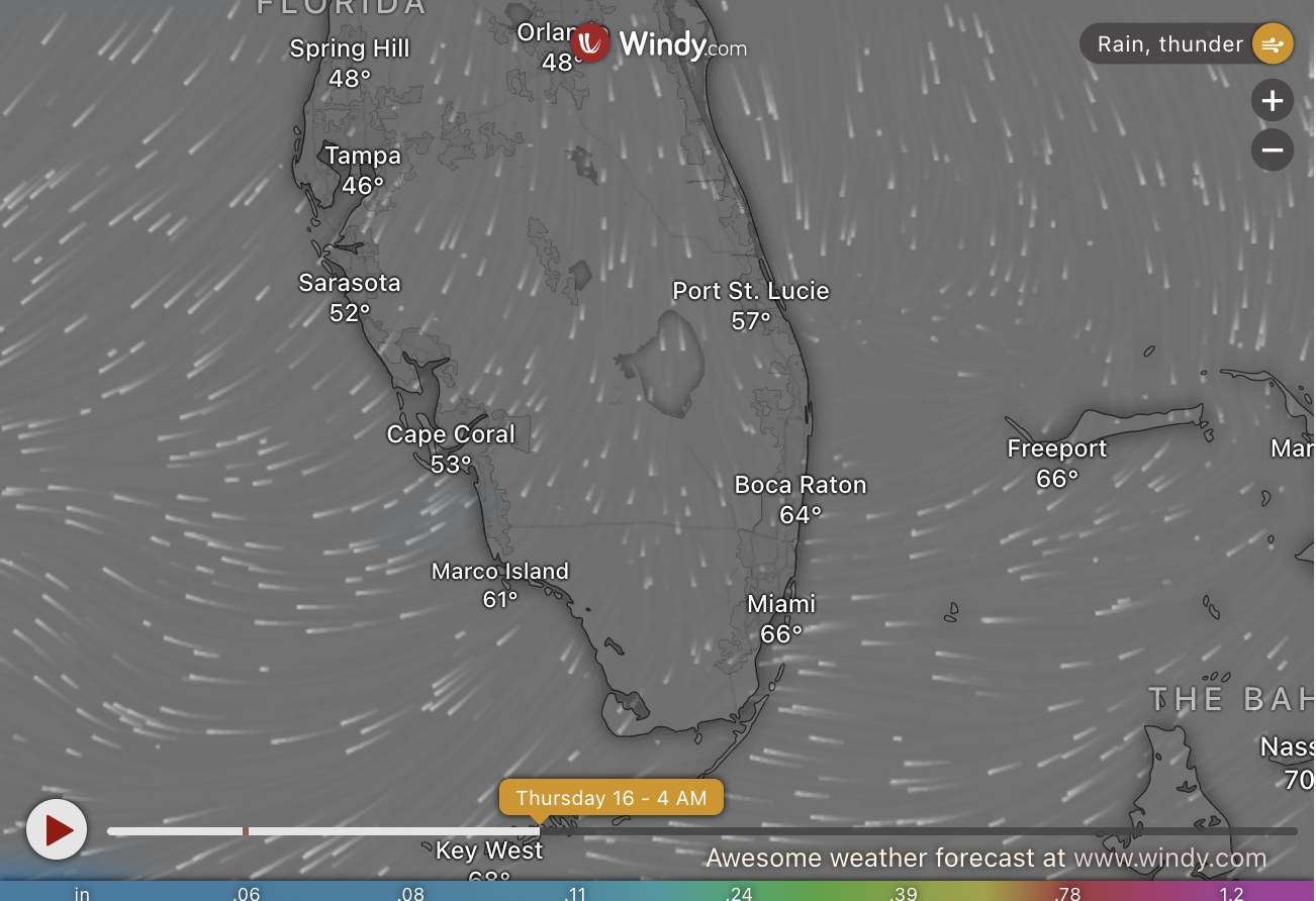 Whats the Weather Like in Miami This Week? Temperature, Rain Forecasts