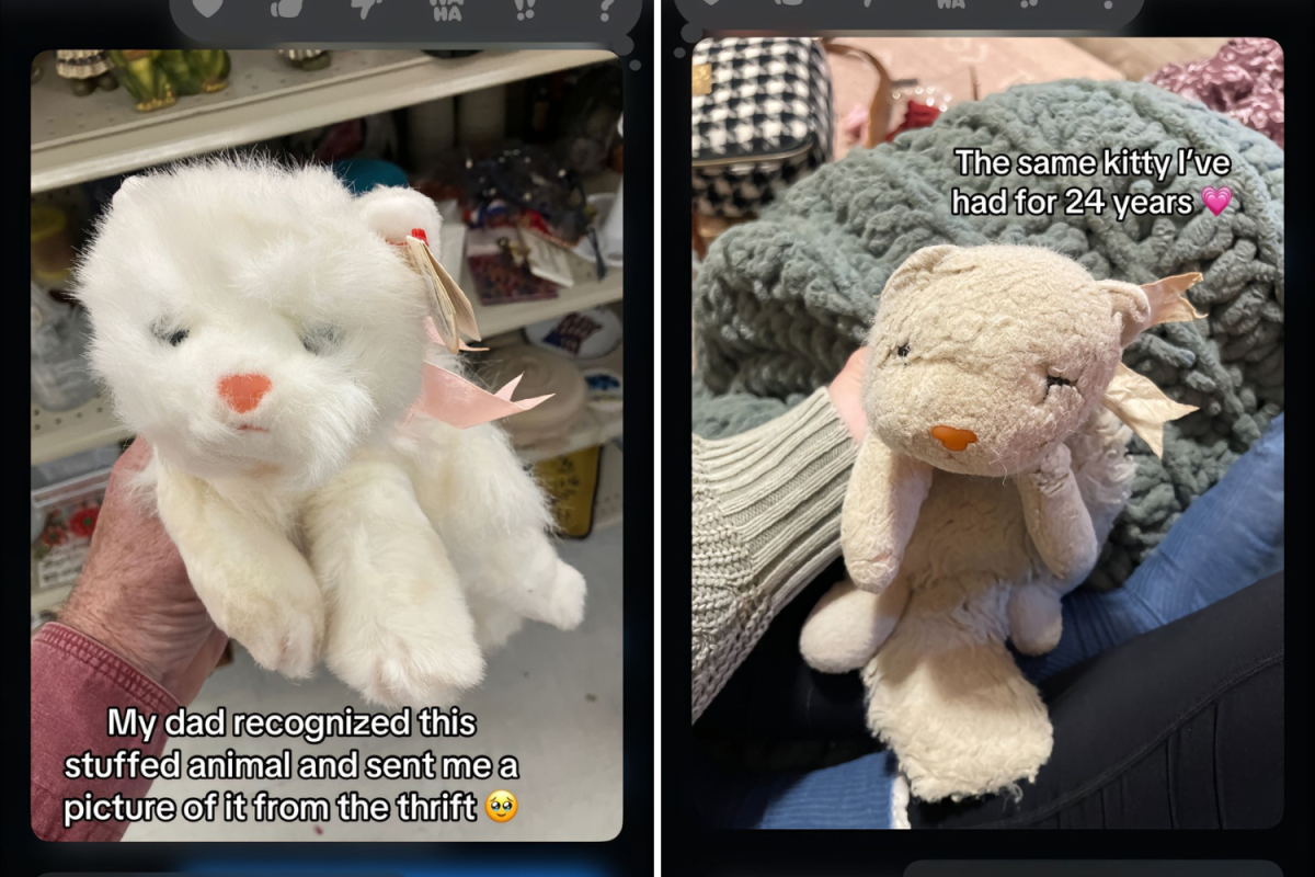 Stuffed cat side by side