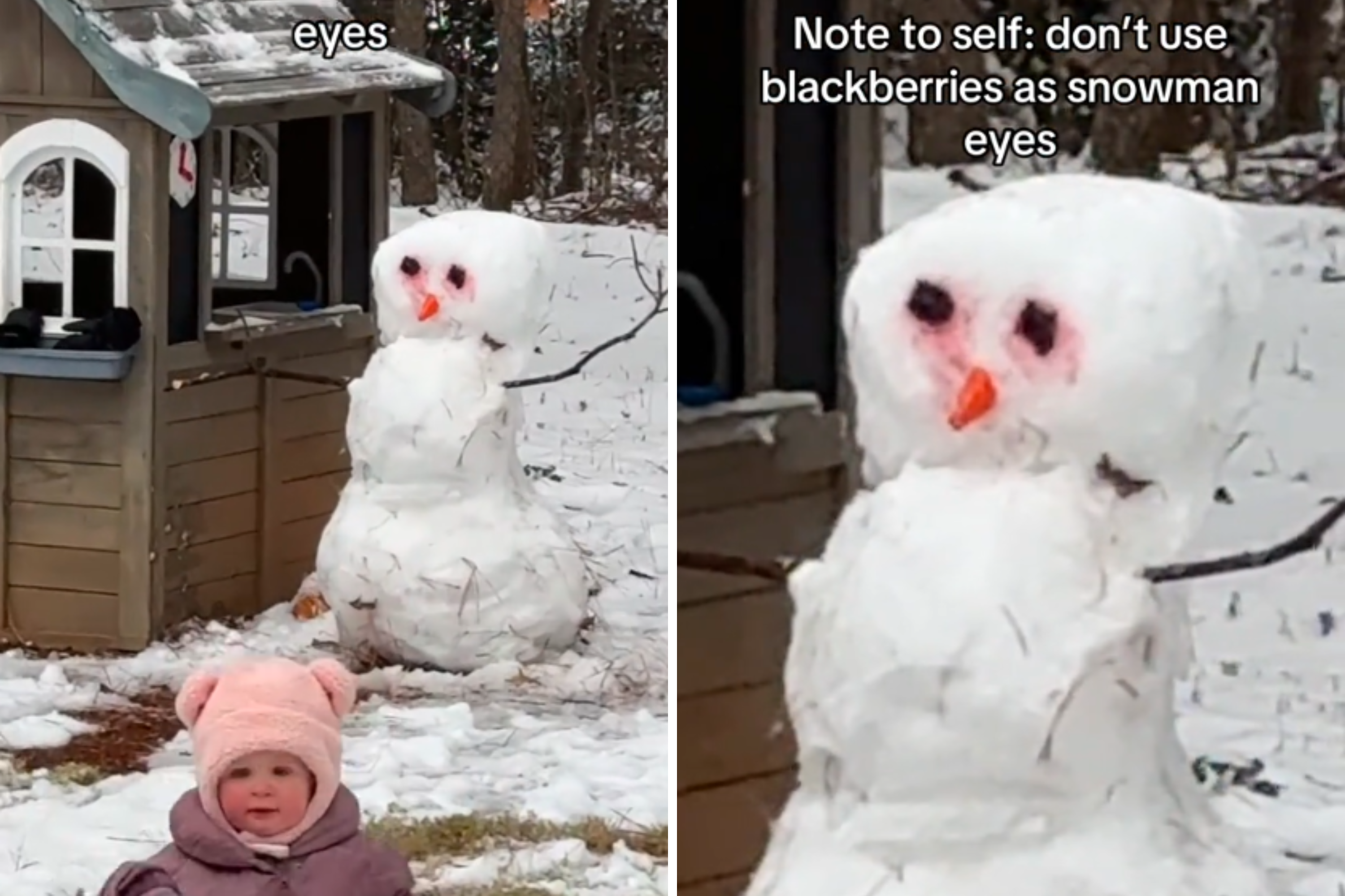 Family Uses Blackberries for Snowmans Eyes, Then Realizes Horrible Mistake