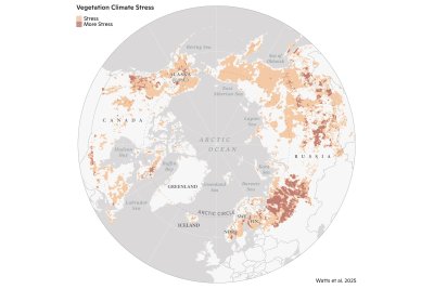 vegetation climate stress