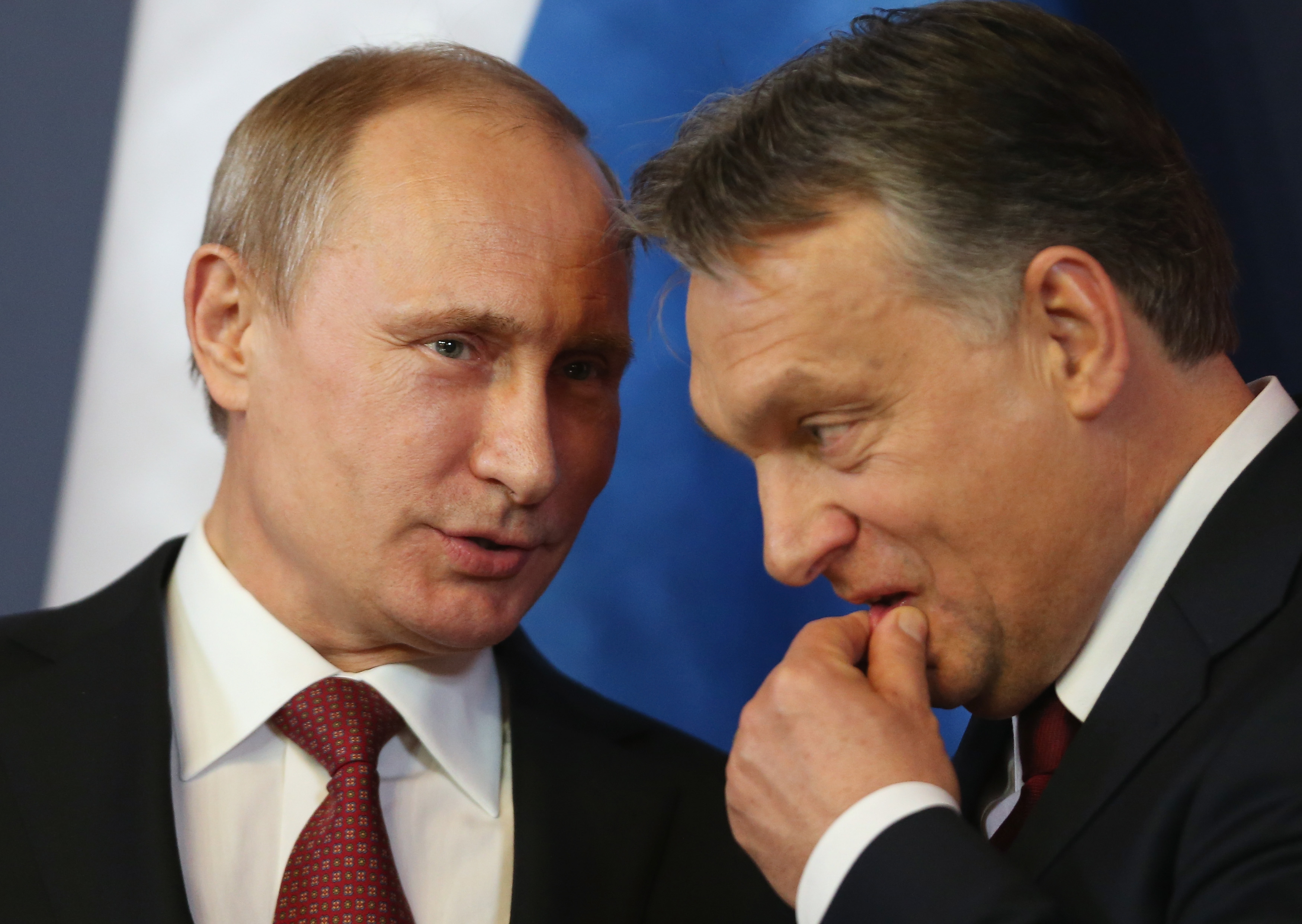 Putin Allies in NATO Face Political Turmoil